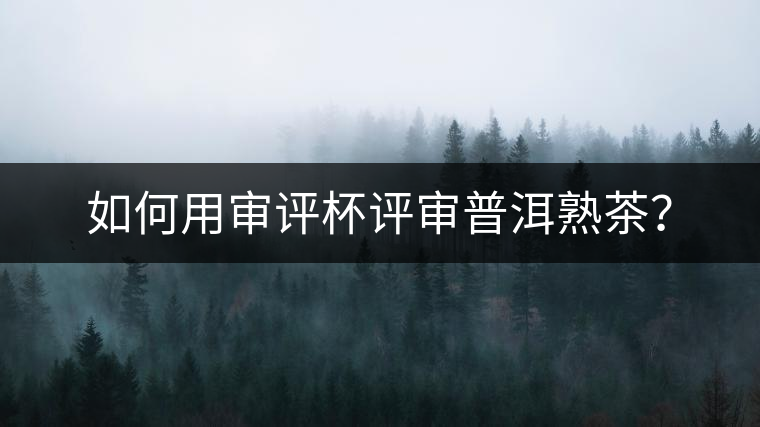 如何用審評杯評審普洱熟茶? 如何用審評杯評審普洱熟茶?