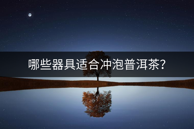 哪些器具適合沖泡普洱茶? 哪些器具適合沖泡普洱茶?