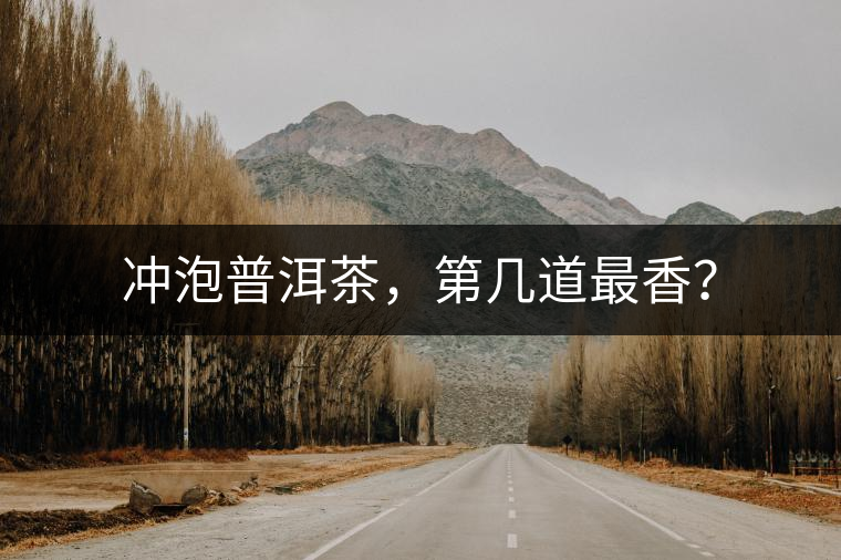 沖泡普洱茶,第幾道最香? 沖泡普洱茶,第幾道最香?