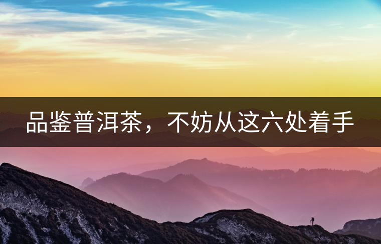 品鑒普洱茶,不妨從這六處著手 品鑒普洱茶,不妨從這六處著手