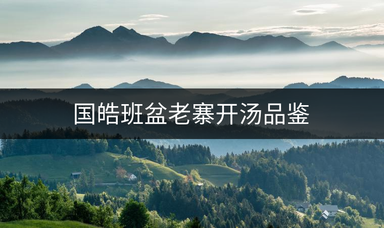 國皓班盆老寨開湯品鑒 國皓班盆老寨開湯品鑒