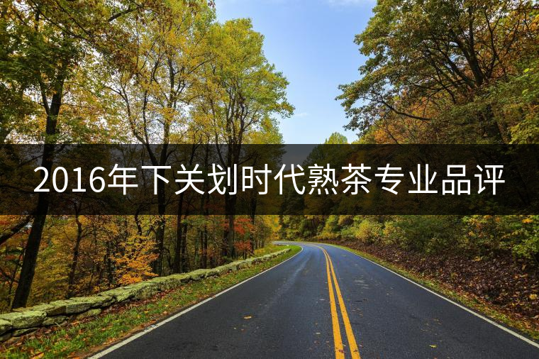 2016年下關劃時代熟茶專業品評