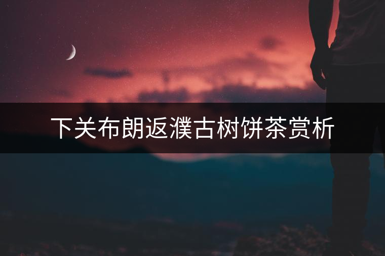 下關布朗返濮古樹餅茶賞析