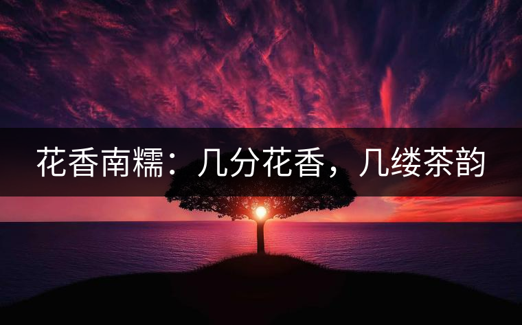 花香南糯:幾分花香,幾縷茶韻 花香南糯:幾分花香,幾縷茶韻
