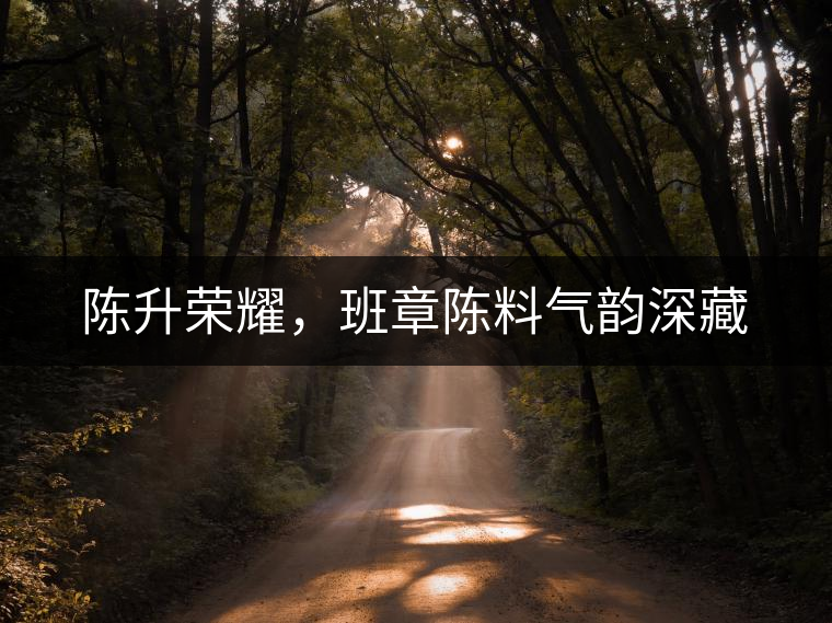 陳升榮耀,班章陳料氣韻深藏 陳升榮耀,班章陳料氣韻深藏