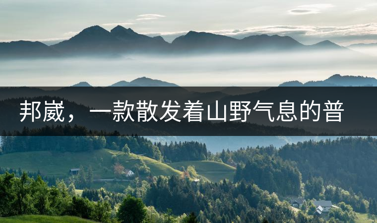 邦崴，一款散發(fā)著山野氣息的普洱