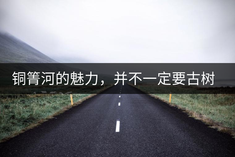 銅箐河的魅力,并不一定要古樹來體現 銅箐河的魅力,并不一定要古樹來體現