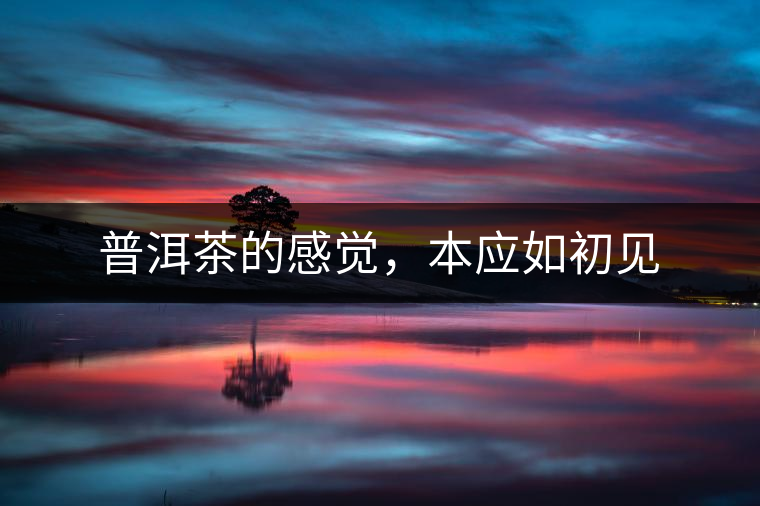 普洱茶的感覺,本應如初見 普洱茶的感覺,本應如初見