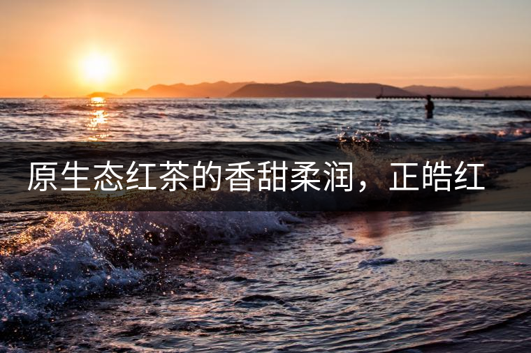原生態紅茶的香甜柔潤，正皓紅的魅力無可抵擋！