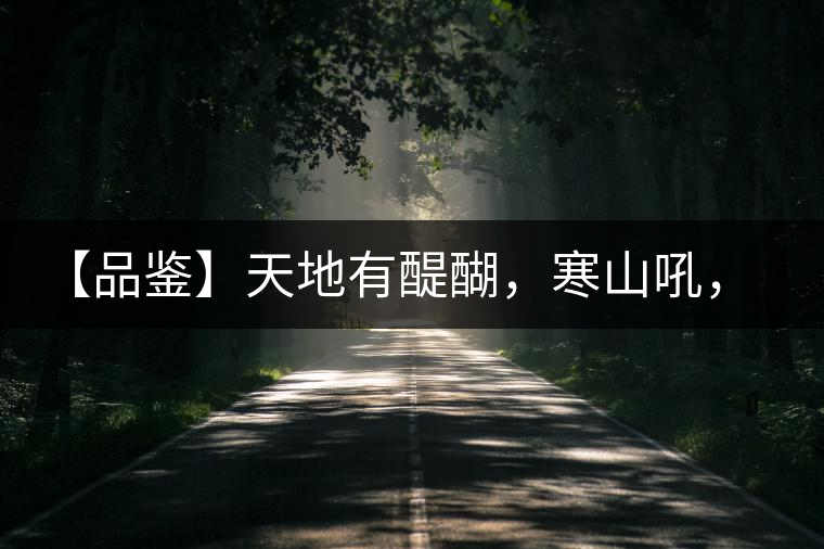 【品鑒】天地有醍醐，寒山吼，苦樂皆隨風