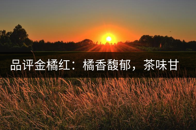 品評金橘紅:橘香馥郁,茶味甘醇,匠心拼配,臻于至善 品評金橘紅:橘香馥郁,茶味甘醇,匠心拼配,臻于至善
