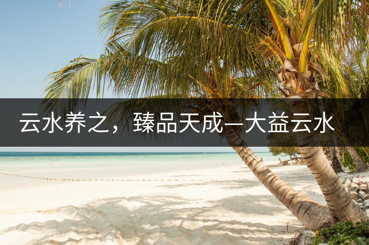 云水養之，臻品天成—大益云水臻開湯