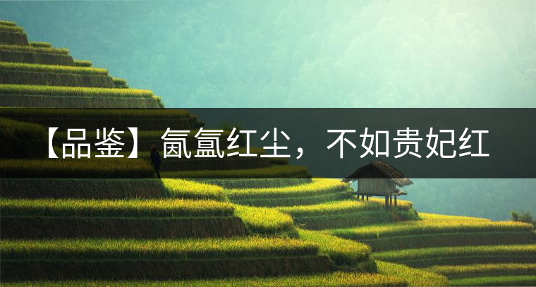 【品鑒】氤氳紅塵,不如貴妃紅一盞 【品鑒】氤氳紅塵,不如貴妃紅一盞