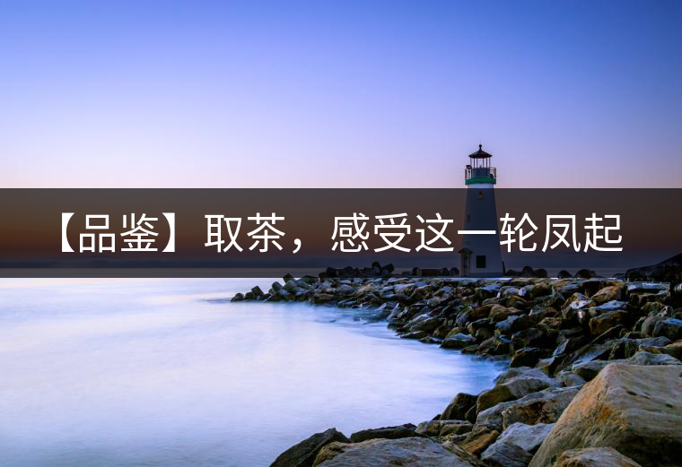 【品鑒】取茶,感受這一輪鳳起古茶的魅力 【品鑒】取茶,感受這一輪鳳起古茶的魅力