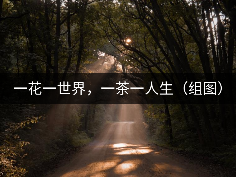 一花一世界,一茶一人生(組圖) 一花一世界,一茶一人生(組圖)