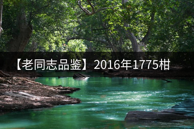 【老同志品鑒】2016年1775柑普茶