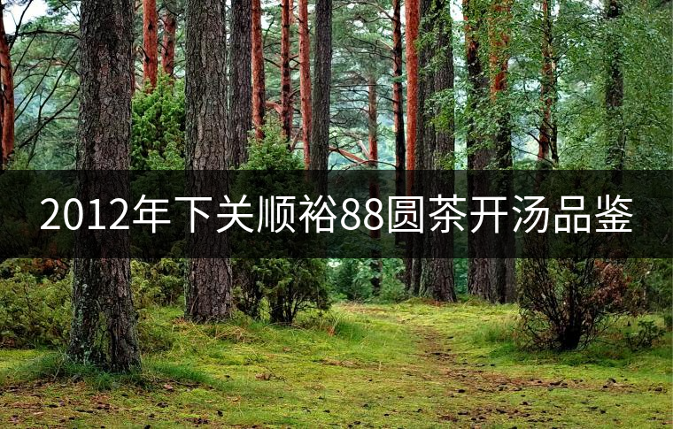 2012年下關順裕88圓茶開湯品鑒 2012年下關順裕88圓茶開湯品鑒
