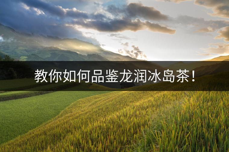 教你如何品鑒龍潤(rùn)冰島茶！