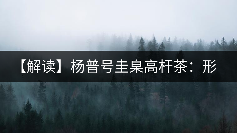 【解讀】楊普號圭臬高桿茶:形高、氣足、韻遠的一款茶 【解讀】楊普號圭臬高桿茶:形高、氣足、韻遠的一款茶