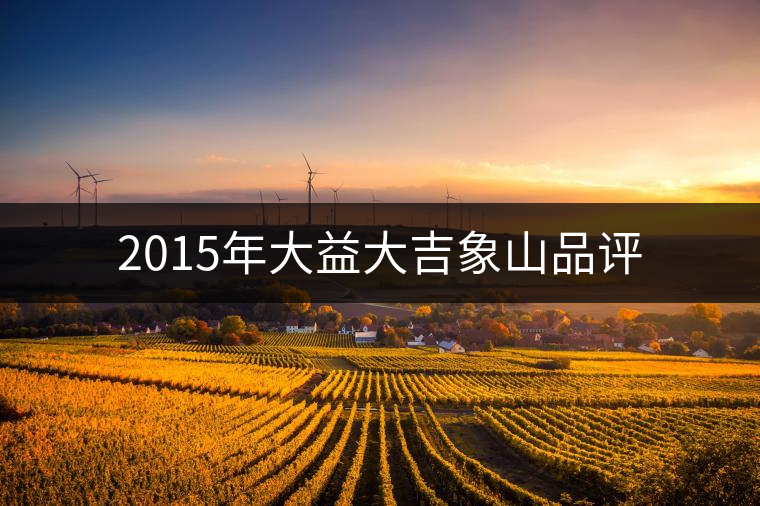 2015年大益大吉象山品評