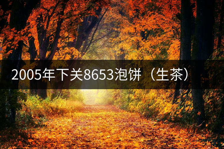 2005年下關8653泡餅(生茶)品評 2005年下關8653泡餅(生茶)品評