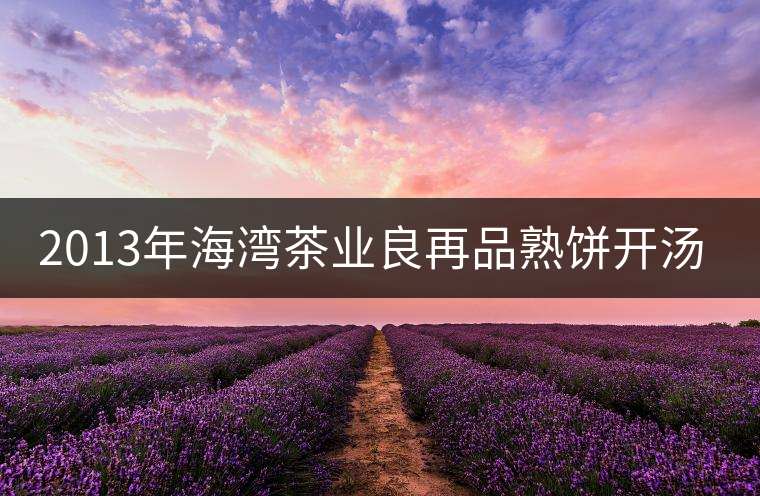 2013年海灣茶業良再品熟餅開湯品鑒