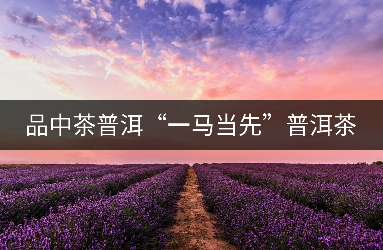 品中茶普洱“一馬當先”普洱茶