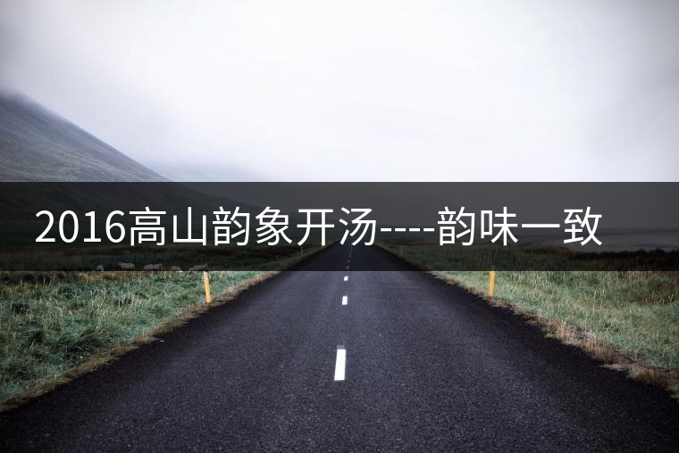 2016高山韻象開湯----韻味一致的高山韻象