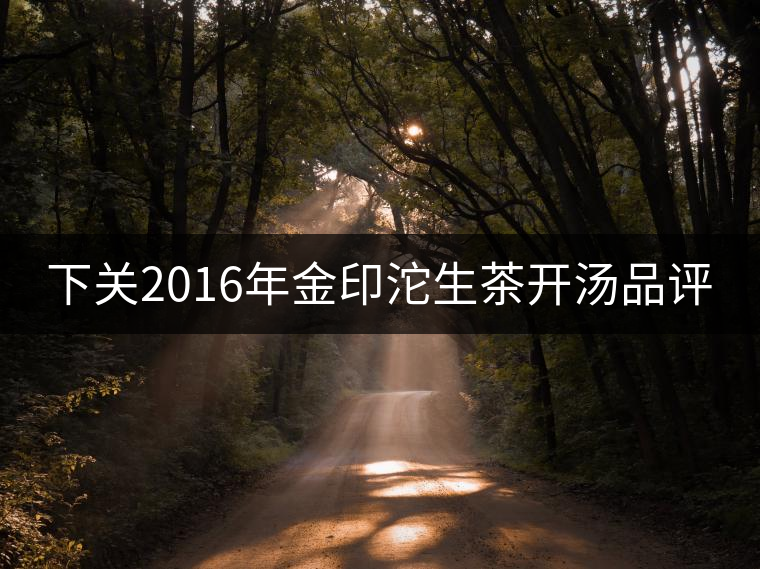 下關2016年金印沱生茶開湯品評