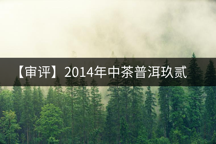 【審評(píng)】2014年中茶普洱玖貳方磚 【審評(píng)】2014年中茶普洱玖貳方磚