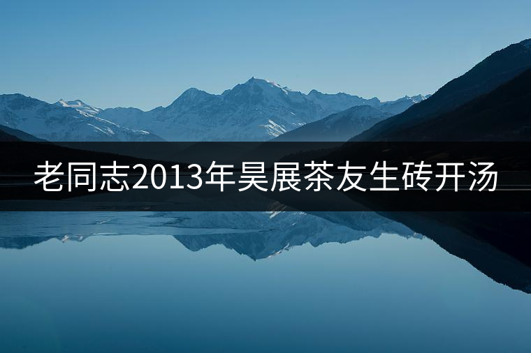 老同志2013年昊展茶友生磚開湯 老同志2013年昊展茶友生磚開湯