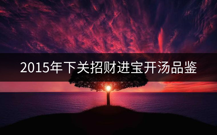 2015年下關招財進寶開湯品鑒 2015年下關招財進寶開湯品鑒
