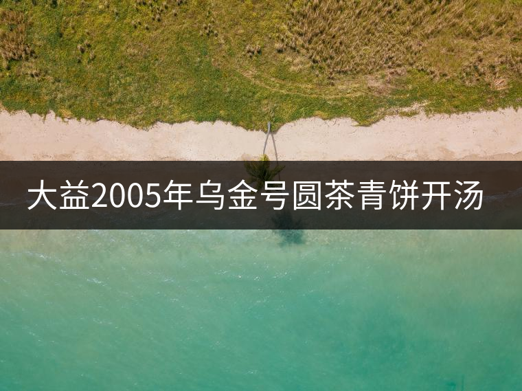 大益2005年烏金號(hào)圓茶青餅開(kāi)湯品鑒 大益2005年烏金號(hào)圓茶青餅開(kāi)湯品鑒