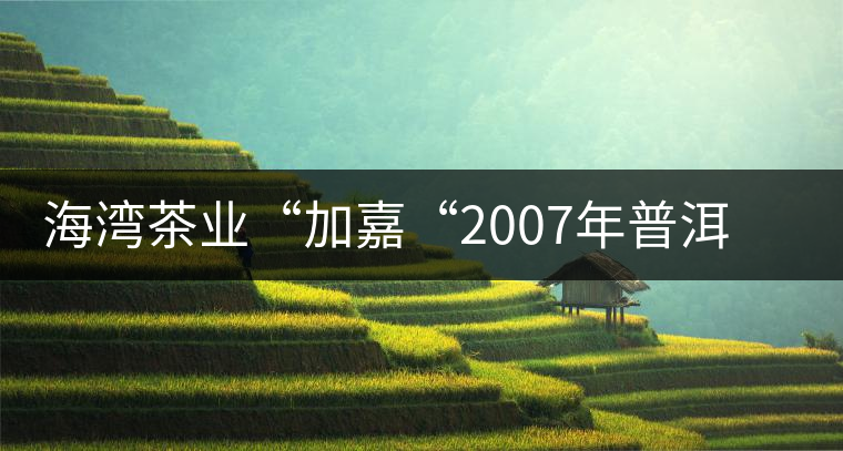 海灣茶業“加嘉“2007年普洱方磚（生茶）品評