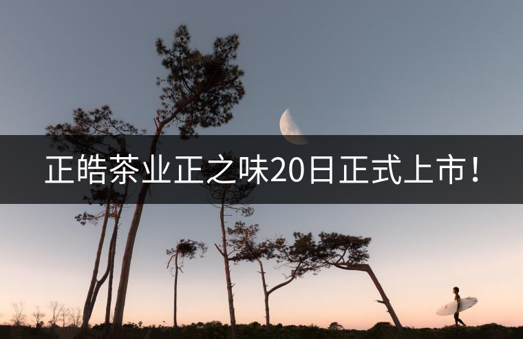 正皓茶業正之味20日正式上市! 正皓茶業正之味20日正式上市!