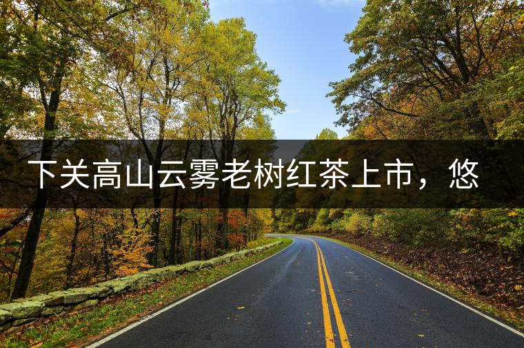 下關(guān)高山云霧老樹紅茶上市,悠悠春茶香 下關(guān)高山云霧老樹紅茶上市,悠悠春茶香