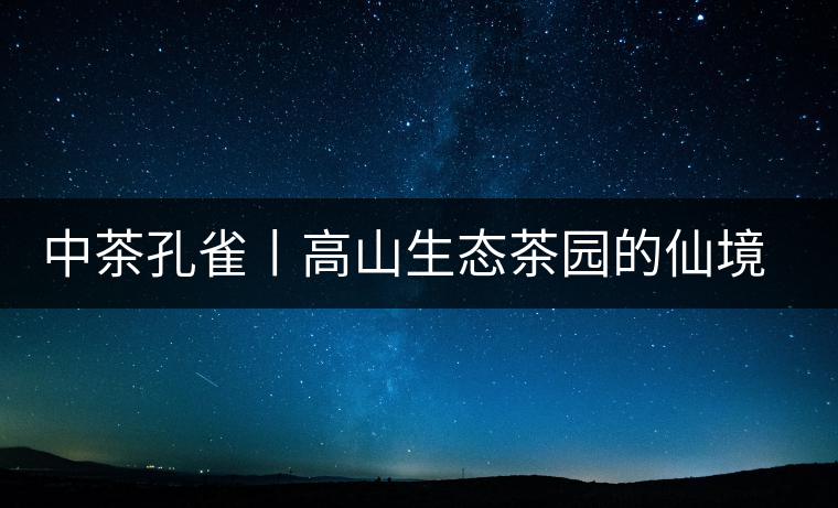 中茶孔雀丨高山生態茶園的仙境氣息 中茶孔雀丨高山生態茶園的仙境氣息