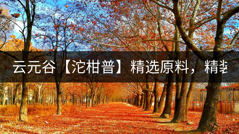 云元谷【沱柑普】精選原料,精裝上市! 云元谷【沱柑普】精選原料,精裝上市!
