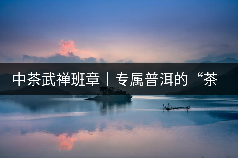 中茶武禪班章丨專(zhuān)屬普洱的“茶禪一味”