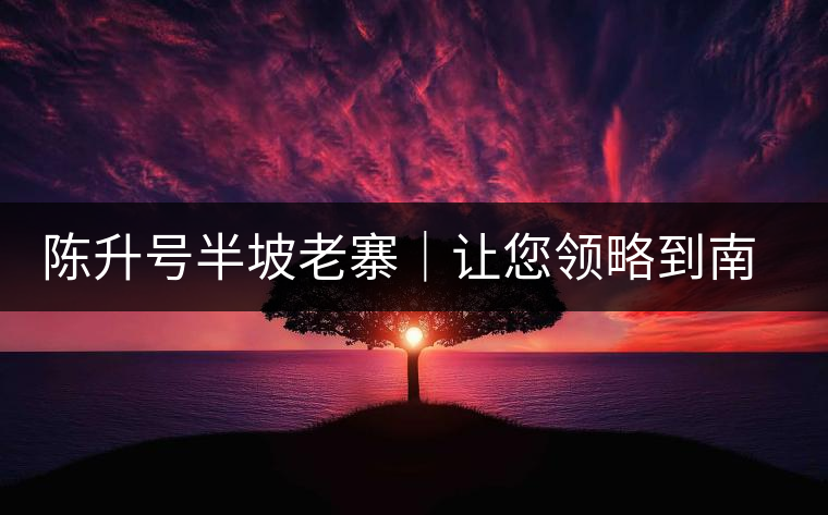 陳升號半坡老寨|讓您領略到南糯山大樹茶口感的地道! 陳升號半坡老寨|讓您領略到南糯山大樹茶口感的地道!