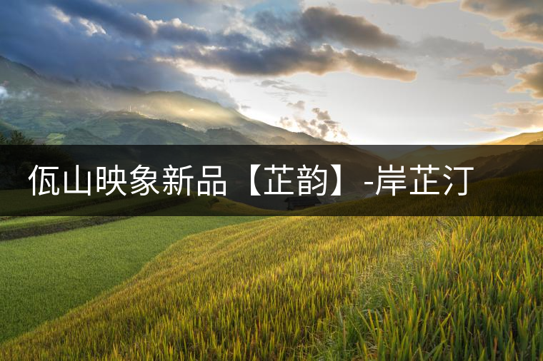 佤山映象新品【芷韻】-岸芷汀蘭,出一杯甘厚普洱 佤山映象新品【芷韻】-岸芷汀蘭,出一杯甘厚普洱