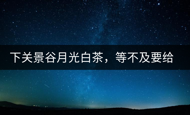 下關景谷月光白茶，等不及要給你的思念