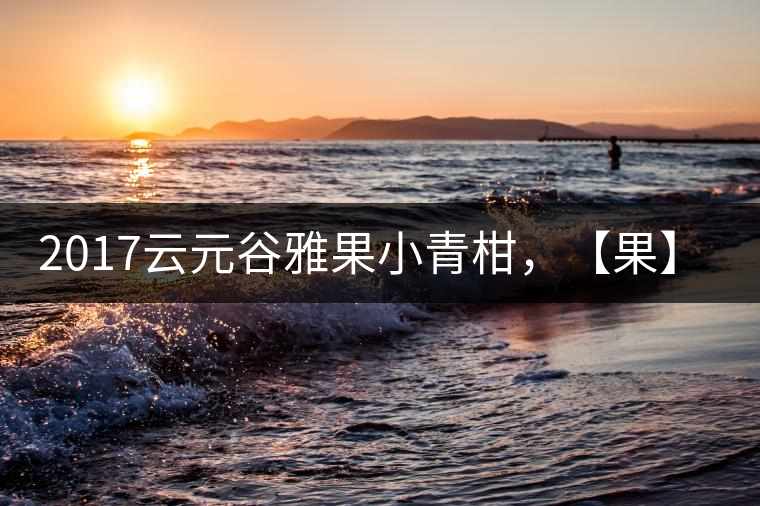 2017云元谷雅果小青柑,【果】真來了 2017云元谷雅果小青柑,【果】真來了