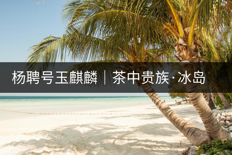 楊聘號玉麒麟|茶中貴族·冰島古樹 楊聘號玉麒麟|茶中貴族·冰島古樹