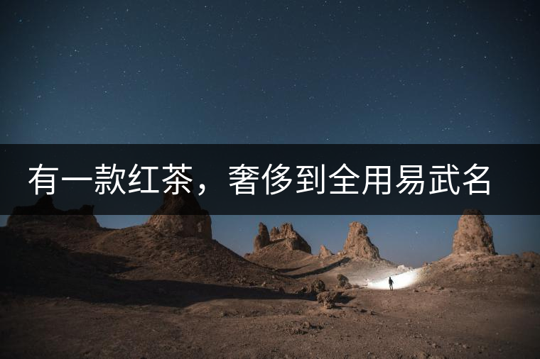 有一款紅茶,奢侈到全用易武名寨古樹茶發酵! 有一款紅茶,奢侈到全用易武名寨古樹茶發酵!