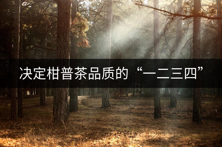 決定柑普茶品質的“一二三四” 決定柑普茶品質的“一二三四”