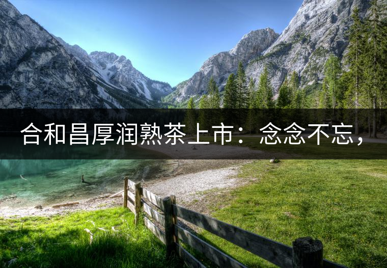 合和昌厚潤熟茶上市:念念不忘,必有回響! 合和昌厚潤熟茶上市:念念不忘,必有回響!