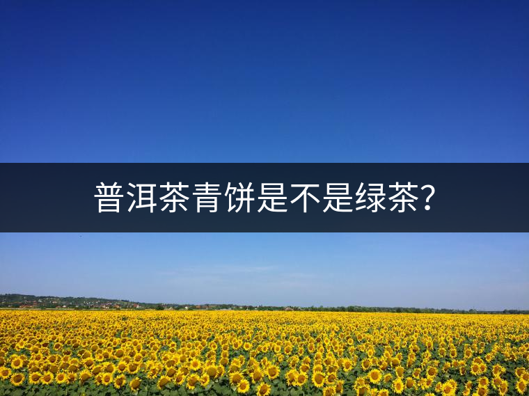 普洱茶青餅是不是綠茶？