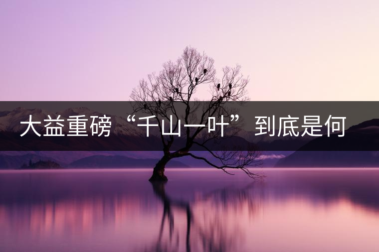 大益重磅“千山一葉”到底是何方神圣? 大益重磅“千山一葉”到底是何方神圣?