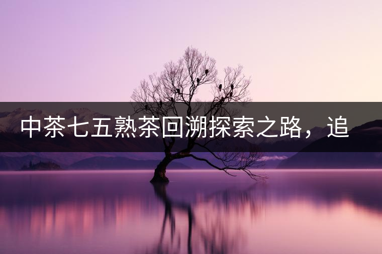 中茶七五熟茶回溯探索之路,追尋歷史印跡 中茶七五熟茶回溯探索之路,追尋歷史印跡